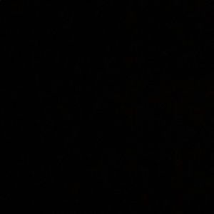 Meet your Posher, Deangelo